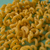 Rulli VEGANO - comprar online