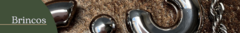 Banner da categoria Brincos