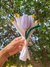 Tulipa de Chenille na internet