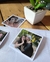 Polaroid Quadradinha - comprar online