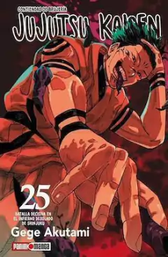 JUJUTSU KAISEN 25