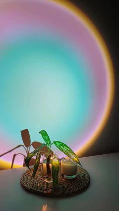 Lampara Corner RGB + Tira de Neon + Sunset en internet