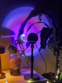Tira de Neón + Paper Lamp + Sunset Lamp en internet