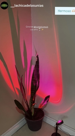 2 Sunset Lamina + 2 Sunset Control