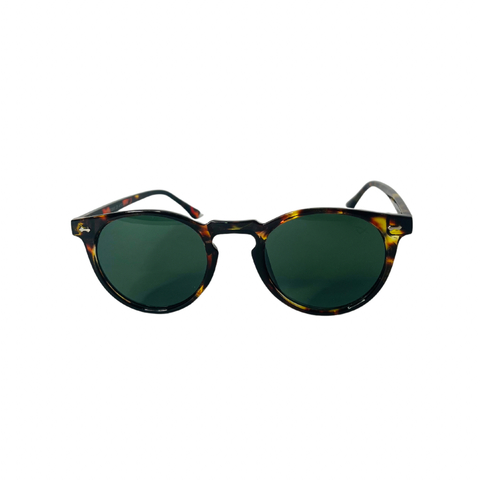 Óculos Solar San Torino Tortoise