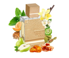 Amber Oud Gold 999.9 Dubai Extrait Premium 100 ml en internet