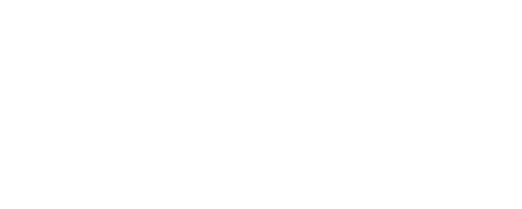 Zayit Store