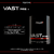 VAST PRE - POSITIVE - (300GR) - comprar online