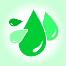 Categoria 10