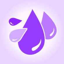 Categoria 9
