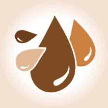 Categoria 6