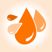 Categoria 5