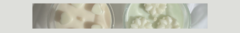Banner da categoria Shine