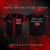 Hope on the Stage Jersey Fanmade - Post Concierto - comprar en línea