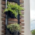 Jardim Vertical Floreira Para 4 Vasos - loja online