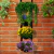 Jardim Vertical Floreira Para 4 Vasos - comprar online