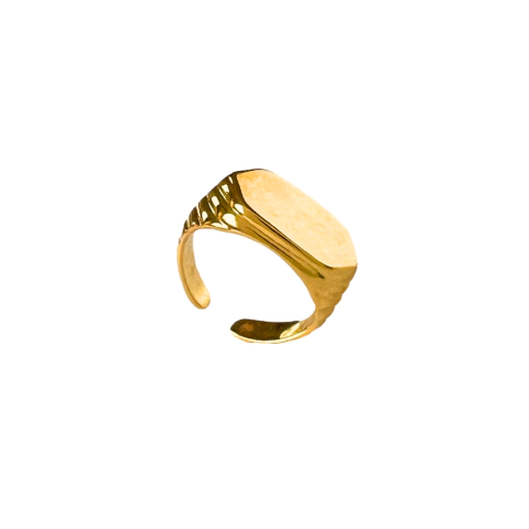 ANEL REGULAVEL FALANGE