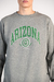 Buzo cuello redondo Unisex Arizona - Land. Indumentaria