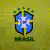 Brasil 2024/25 Local - Versión Jugador en internet