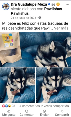 Testimonio de Pawlishus
