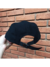 Boné 5panel Time Bomb (a hero´s death) - comprar online