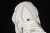 New Balance 9060 Sea Salt Raincloud en internet