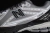 New Balance 1906R Castlerock Rain Cloud - comprar online