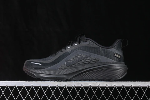 Nike Air Zoom Pegasus 42 Gore-Tex Black / Off Noir