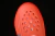 Nike ReactX Rejuven8 Safety Orange - KuperX