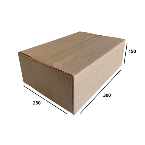 Caixa Maleta Normal 300 X 250 X 150