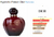 PERFUME DREAM BRAND N° 027 - Inspiração HYPNOTIC POISON - 100ml - feminino - comprar online