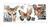 FOLEX TRASFER BOHEMIAN TIRA 009
