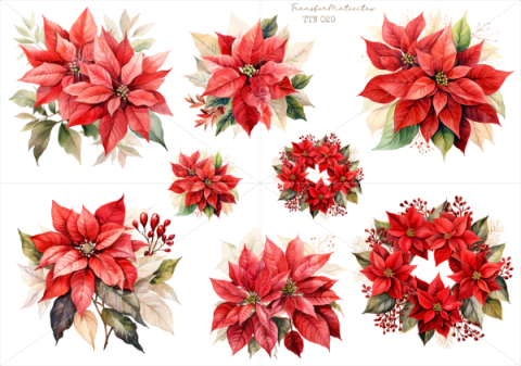 TERMOTRANSFERIBLE TTN 020 - comprar online