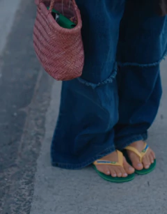 Havaianas Brasil Logo en internet