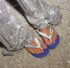 Havaianas Brasil Logo