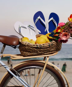 Havaianas Brasil Logo - Jackie O