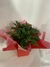 Vaso de pimenta pote 11