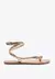 RASTEIRA SNAKE DOURADA SCHUTZ - Ladonna Sapatos