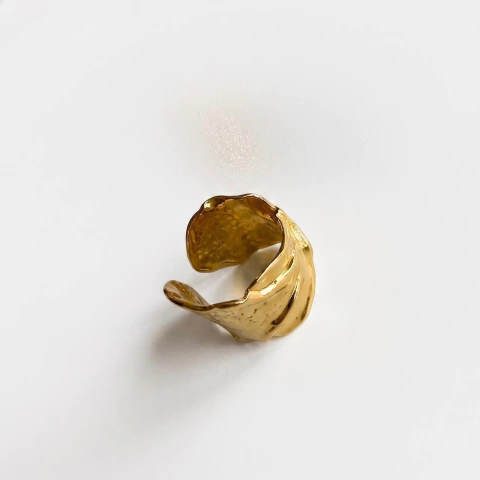 Anillo Kyoto