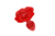Plug Anal Vibrador Silicona  color roja con una flor en la parte de la base 