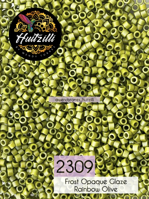 Delica Miyuki 11/0 #2309 (3gr)