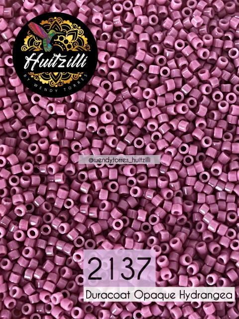 Delica Miyuki 11/0 #2137 (3gr)