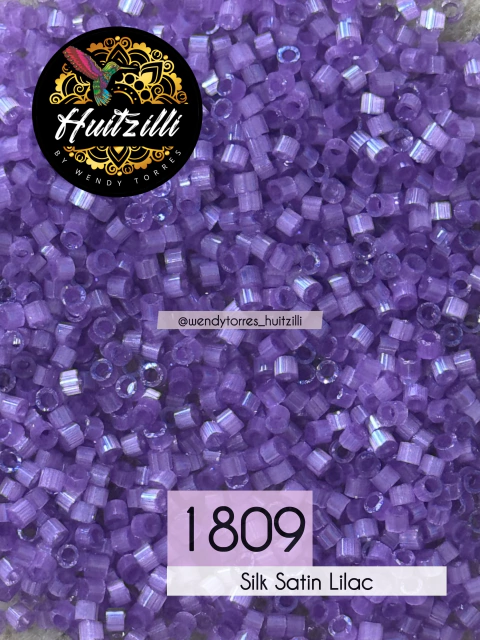 Delica Miyuki 11/0 #1809 (3gr)