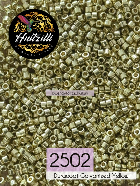 Delica Miyuki 11/0 #2502 (3gr)