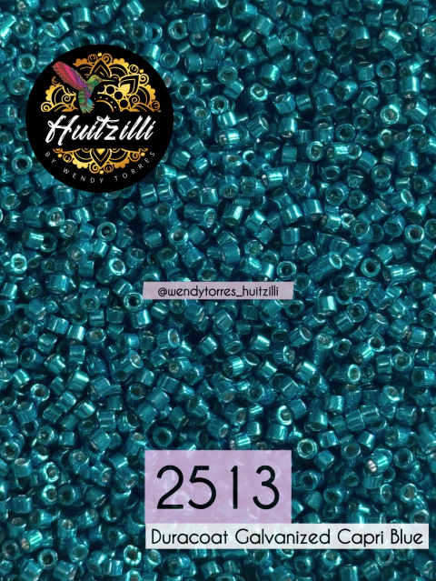 Delica Miyuki 11/0 #2513 (3gr)