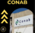 APOSTILA CONAB 2025 CONTABILIDADE OU CIÊNCIAS CONTÁBEIS - comprar online