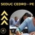 Apostila SEDUC CEDRO PE 2024 - OPERADOR DE ESCAVADEIRA HIDRÁULICA