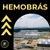 Apostila HEMOBRÁS 2024 -ANALISTA EM FRACIONAMENTO INDUSTRIAL DO PLASMA 2