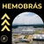 Apostila HEMOBRÁS 2024 -ANALISTA EM SEGURANÇA DO TRABALHO