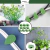 Pack x25 Organizador Adhesivo Multiuso Para Plantas Cables - tienda online